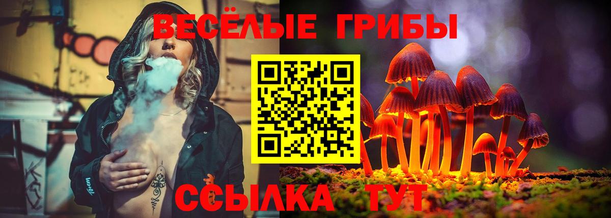 Галлюциногенные грибы Psilocybe  Галлюциногенные грибы Magic Shrooms  Вход с VPN  где можно купить наркотик  Дербент 